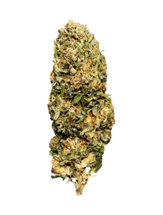Fleur de G2 Kush, manucurée à la main